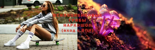 гидра Бабаево