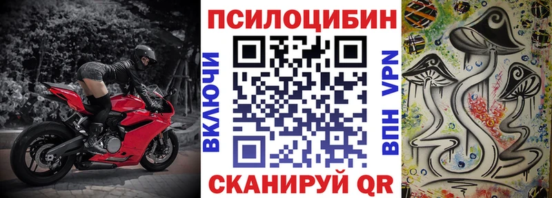 где продают наркотики  Ипатово  Псилоцибиновые грибы прущие грибы 
