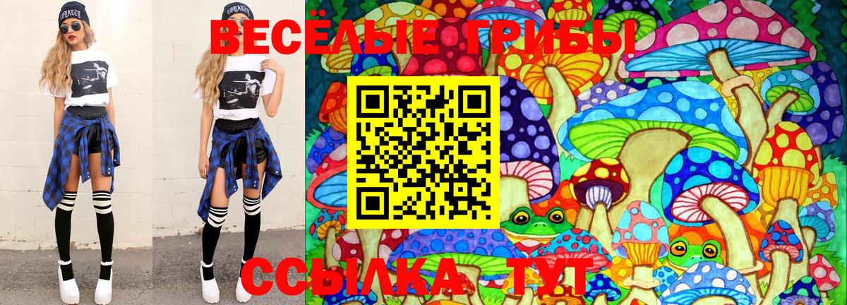 Псилоцибиновые грибы Cubensis Ипатово