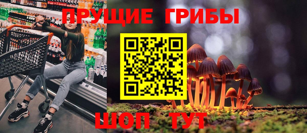 где купить наркоту  Галлюциногенные грибы Psilocybine cubensis  Вход с VPN  Ипатово  Галлюциногенные грибы GOLDEN TEACHER 