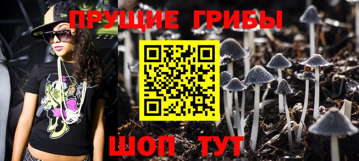 Псилоцибиновые грибы ЛСД  Ипатово 